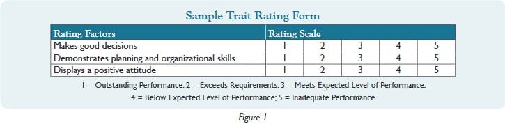 performance appraisal form